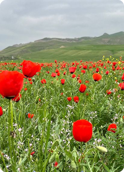 Джип-тур в Кыргызстан