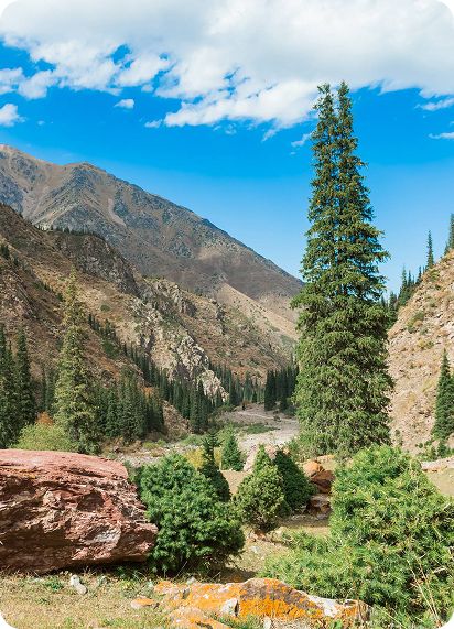 Туры в Кыргызстан