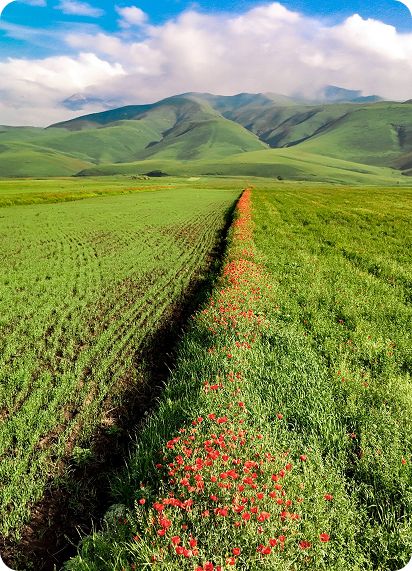 Этноэкскурсия в Кыргызстан